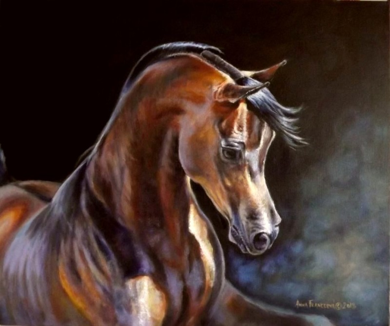Brown beauty